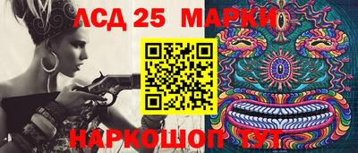молекула духа Будённовск
