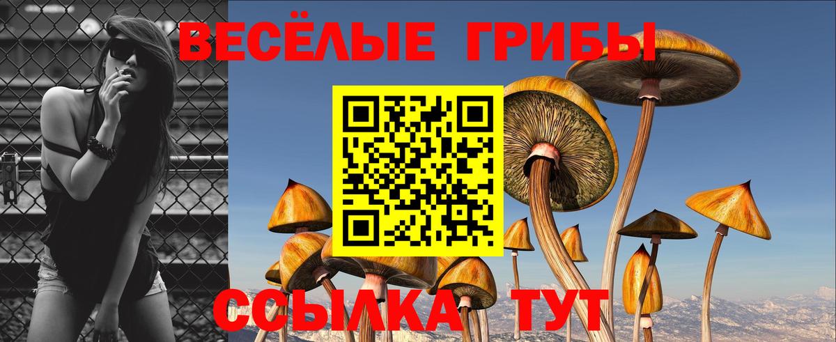 Псилоцибиновые грибы ЛСД  цены   Раменское  Вход с VPN 